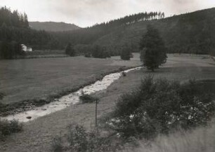 Erzgebirge. Zwickauer Mulde bei Eibenstock, talaufwärts
