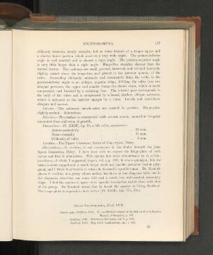 Genus Solenomorpha, Hind, 1903.