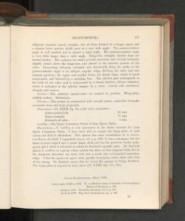 Genus Solenomorpha, Hind, 1903.