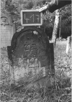 Grabstein 417 (Index: 99895879) Material: Sandstein Zustand: bewachsen, im unteren Teil abgeblättert Maße HxBxT: 90x55x8 cm Beschreibung: Stele mit eingezogenem Rundbogenabschluss: Grabstein 417
