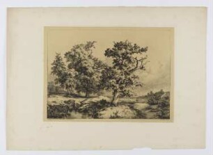 Eichen im Flachland, aus: "Baum-Studien, nach der Natur radiert"