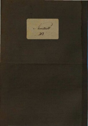 G. D. Reymann's topographische Special-Karte von Central-Europa, 203. Neustadt