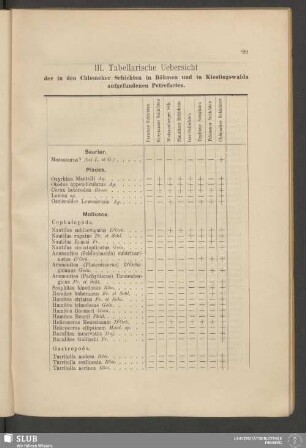 III. Tabellarische Uebersicht der in den Chlomeker Schichten in Böhmen und in Kieslingswalda aufgefundenen Petrefacten