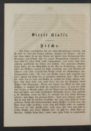 Vierte Klasse. Fische.