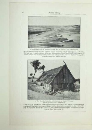 67. Wanderdünen auf der Kurischen Nehrung