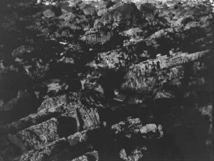 Das Riff vor dem Cap de la Chèvre : Blick über das Riff vor dem Cap de la Chèvre