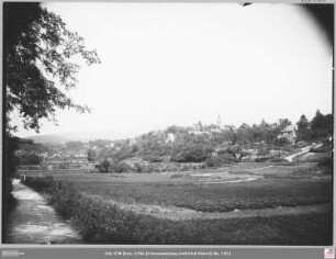 Kronberg von Süden