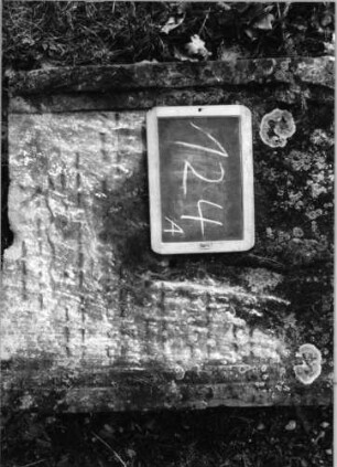 Grabstein 124 (Index: 100090312) Material: Sandstein Zustand: abgeblätt. /verwitt. m. fast völl. Textverl. Maße HxBxT: 100x61x13 cm Beschreibung: Stele, eingezogener Segmentbogenabschluß mit Eckakroteren, Schriftfeld eingetieft: Grabstein 142A