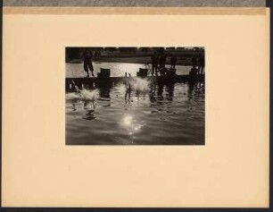 Schwimmer beim Start
