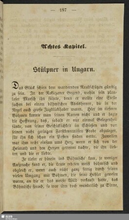 Achtes Kapitel. Stülpner in Ungarn