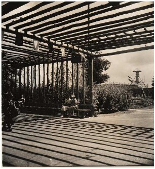 Sommerblumenschau am Funkturm, Berlin-Charlottenburg: Pergola