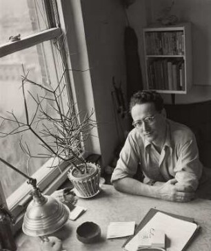Der Fotograf Andreas Feininger