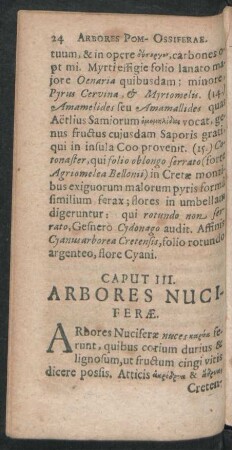 Caput III. Arbores Nuciferae.