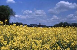 Fotografie: Energietechnik, Energieerzeugung, Biomasse, Raps