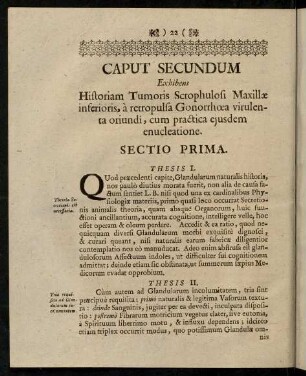 22-48, Caput Secundum