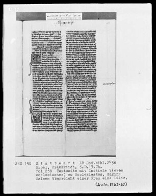 Bibel — Initiale V (erba ecclesiastes), darin überreicht Salomo einer Frau eine Lilie, Folio 238recto