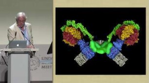 The ATP Synthase in Cellular Life and Death