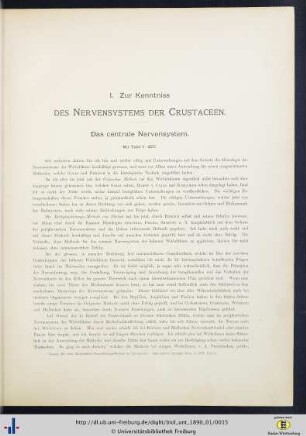 Zur Kenntniss des Nervensystems der Crustaceen.