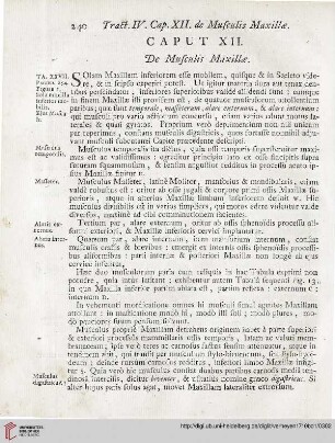 Caput XII: De Musculis Maxillae