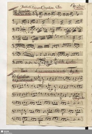 713. Cavatina: La mia amorosa hà un volto / Naumann, J.G.