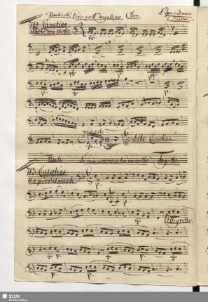 713. Cavatina: La mia amorosa hà un volto / Naumann, J.G.