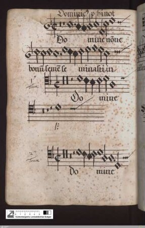 Dominicus Phinot : Domine nonne bonum