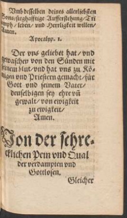 Von der schrecklichen Pein und Qual der vardampten und Gottlosen.