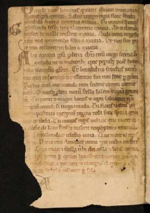 Sequenz 'Gaude mater'