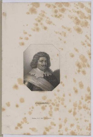 Bildnis des Gaspard de Coligni