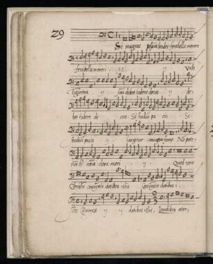 29. Si magnas possunt laudes