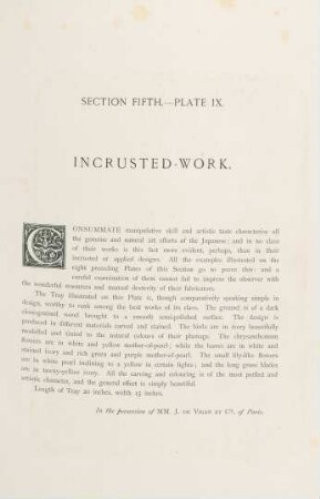 Plate IX. Incrusted-work
