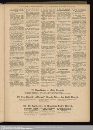 VIII. Die Ärztekammer im Regierungs-Bezirk Chemnitz