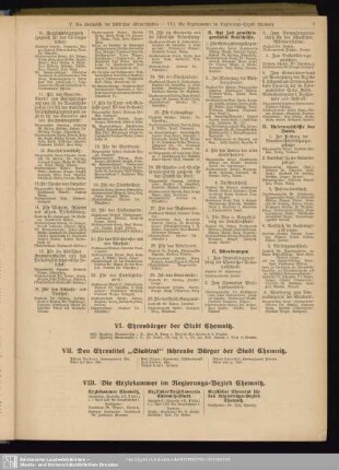 VIII. Die Ärztekammer im Regierungs-Bezirk Chemnitz