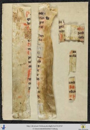 [Beiliegend] Bindemakulatur: Fragmente einer lateinischen spätmittelalterlichen Pergamenthandschrift (liturgischer Text?).