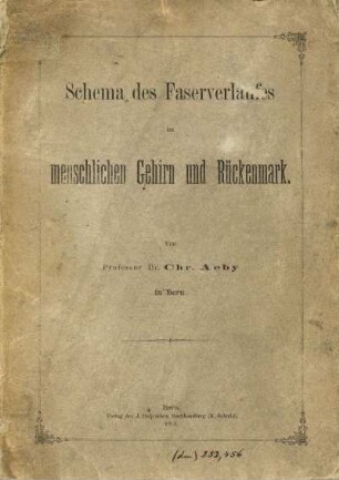 Schema des Faserverlaufes im menschlichen Gehirn und Rueckenmark