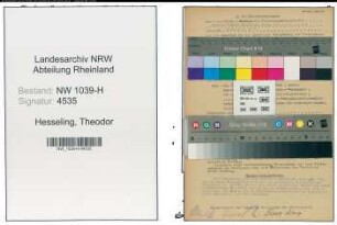Entnazifizierung Theodor Hesseling , geb. 00.00.0000 ()