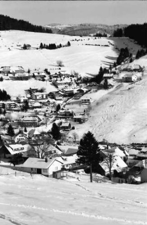 Todtnauberg: Gesamtansicht von westlichem Höhenweg