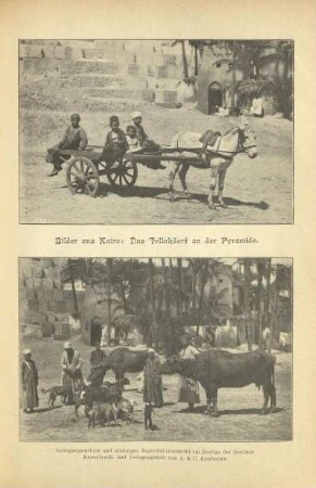 Bilder aus Kairo. Das Fellahdorf an der Pyramide