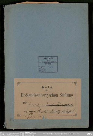 Insatz Scheurich