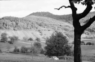 Sitzenkirch: Blick zur Sausenburg (Ast zeigt drauf), St. Johannis Breitehof