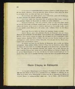 Guano-Düngung im Küchengarten.