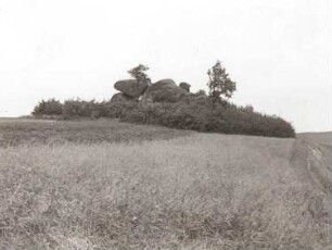 Zittauer Gebirge. Heidenstein (Granitfelsen) bei Weigsdorf