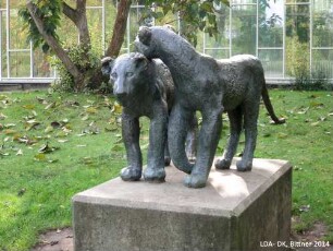 Junge Löwen; Berlin, Lichtenberg