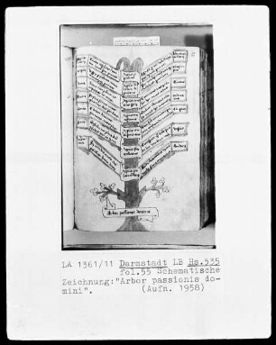 Sammelband aus Gladbach — Arbor passionis domini, Folio 55recto