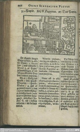 XCV. Papyrus