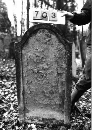 Grabstein 703 (Index: 99752357) Material: Sandstein Zustand: abgeblättert/fast völl. Textverlust Maße HxBxT: 107x54x7 cm Beschreibung: Stele, eingezogener Segmentbogenabschluß, Schriftfeld eingetieft Symbolik: Blüte: Grabstein 703