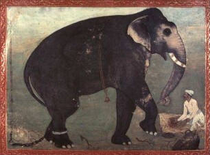 Elefantenfütterung