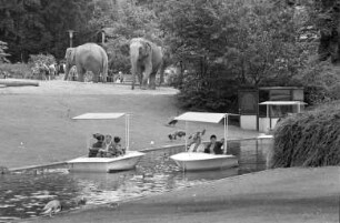 Sommertag im Stadtgarten