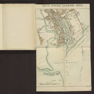 BUTE DOCKS CARDIFF, 1883.