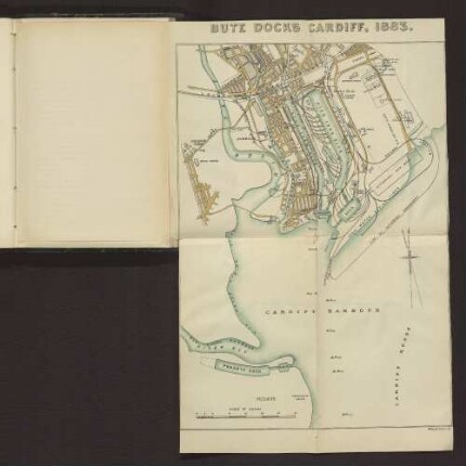 BUTE DOCKS CARDIFF, 1883.
